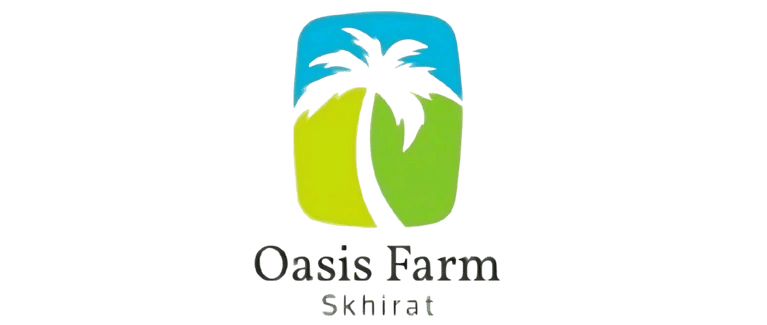 agence marketing digital casablanca