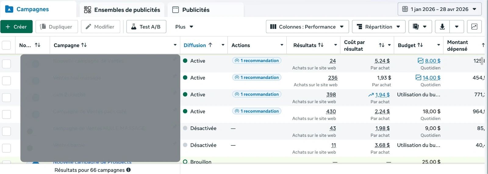 Meta Ads Results (Facebook & Instagram) (2)